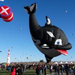 OTRA_2016_0337 (October 05, 2016)